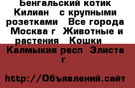 Бенгальский котик Килиан , с крупными розетками - Все города, Москва г. Животные и растения » Кошки   . Калмыкия респ.,Элиста г.